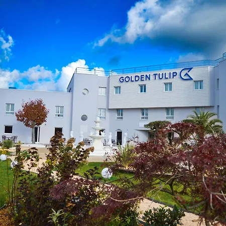 호텔 Golden Tulip Dieppe & 4*